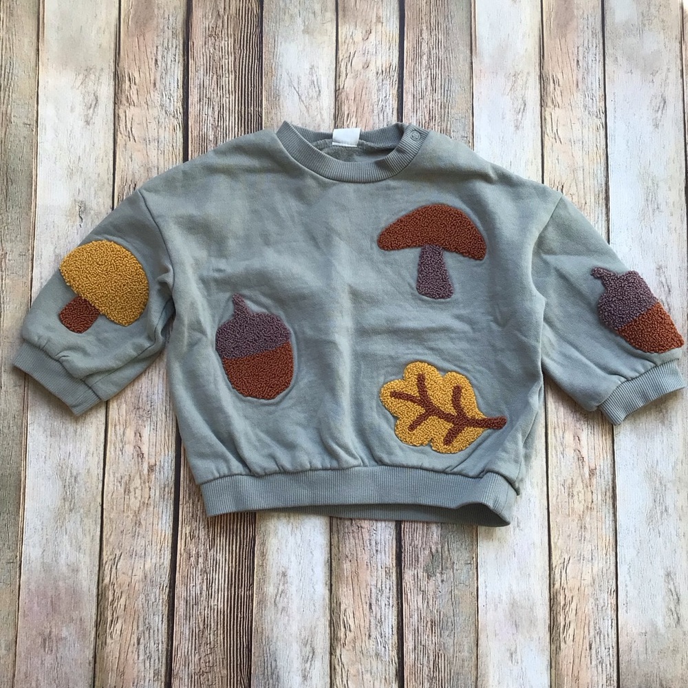 H&M Fall Leaves & Mushrooms Appliqué Sweatshirt